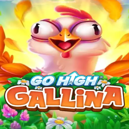 Exploring the World of GoHighGallina